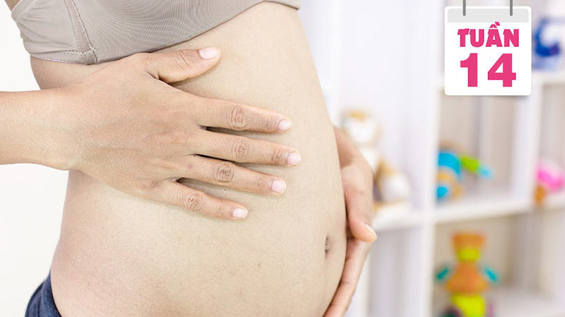 Những thay đổi về cơ thể và dấu hiệu thai 14 tuần khỏe mạnh mà mẹ bầu nên biết