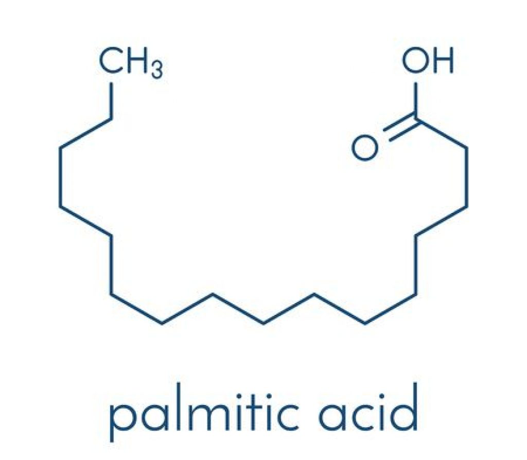 Palmitic Acid là gì? Công dụng của Palmitic Acid trong mỹ phẩm.1