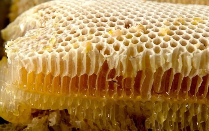 sáp ong trắng