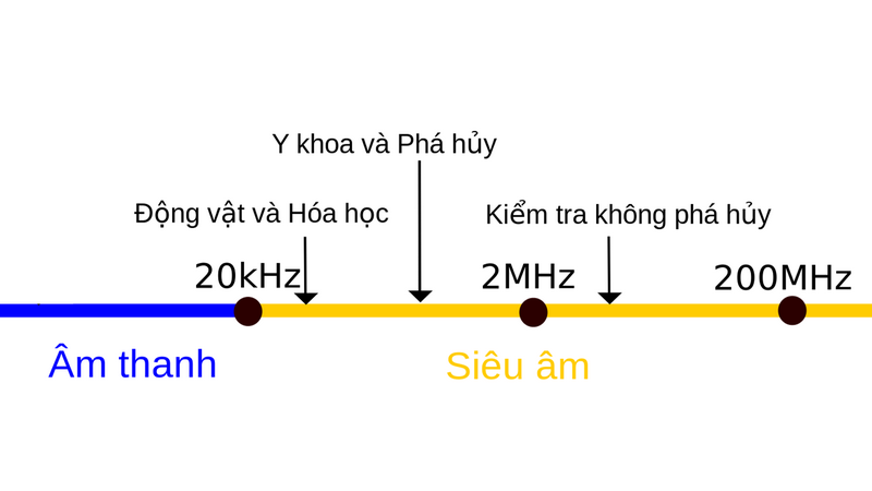 Siêu âm động mạch cảnh 1