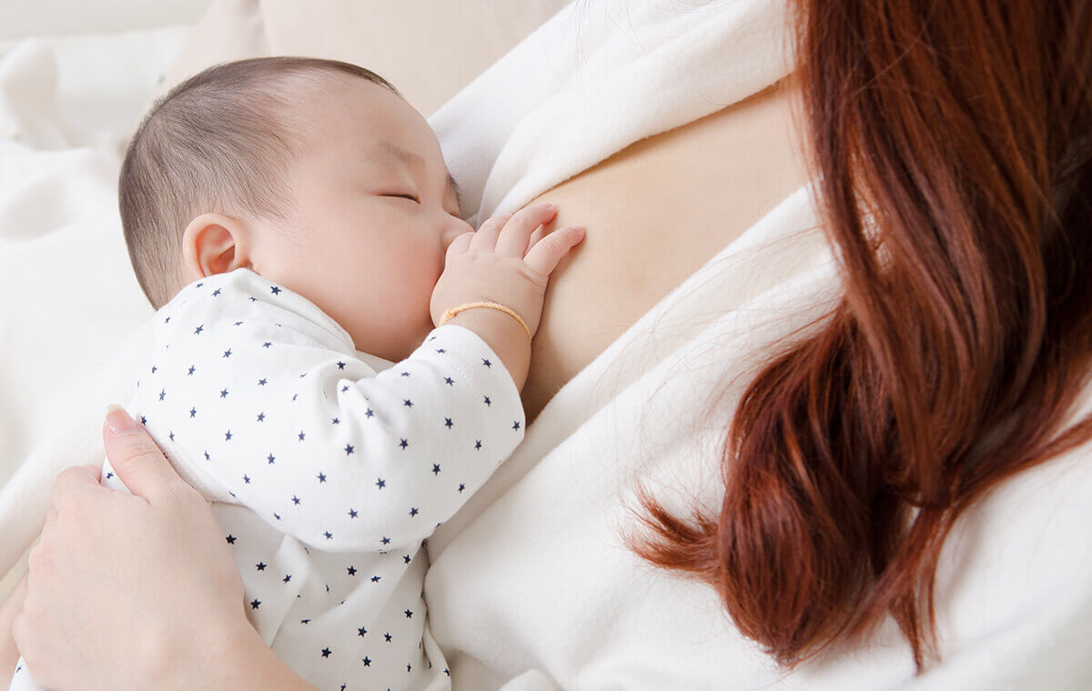 Tang ký sinh có công dụng lợi sữa cho phụ nữ sau sinh
