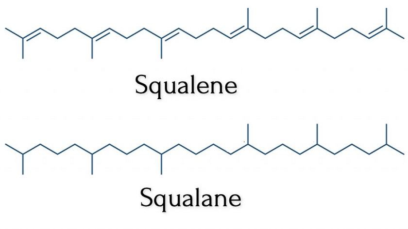 squalane-2