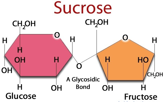 Sucrose là gì? Công dụng của Sucrose với làn da