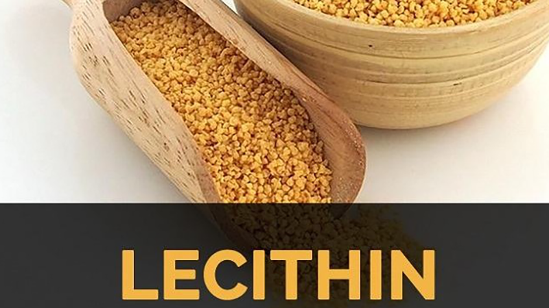 Top 10 thành phần dinh dưỡng trong thức ăn cần chú ý