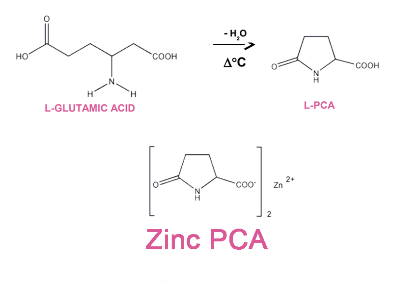 Zinc PCA 3
