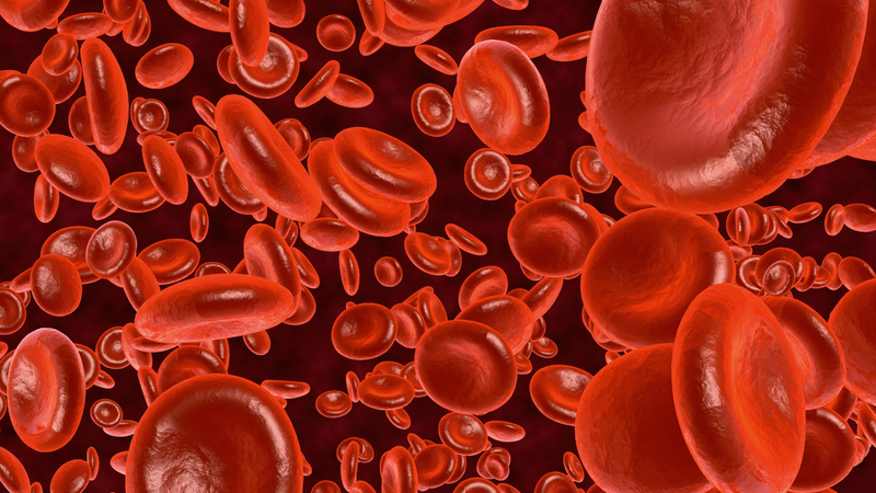 Xét nghiệm máu: Lượng huyết sắc tố trung bình hồng cầu có ý nghĩa gì? 1