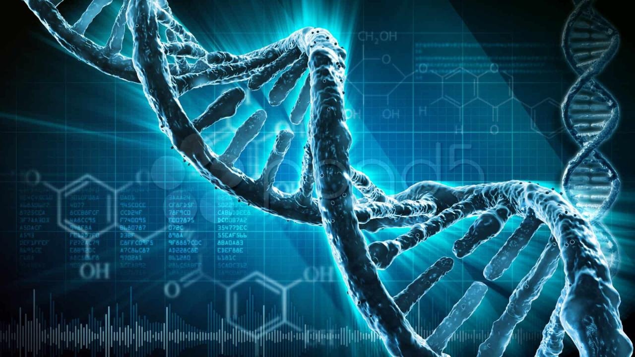 ADN có đóng vai trò quan trọng trong sinh trưởng và phát triển của các loài không?
