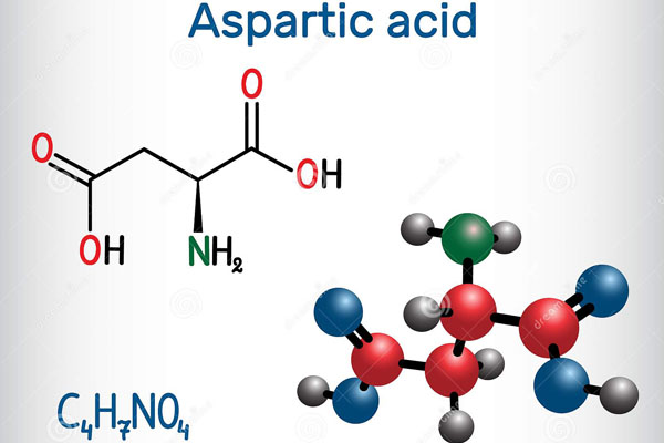 Aspartic Acid là gì? Công dụng của Aspartic Acid đối với sức khỏe.1