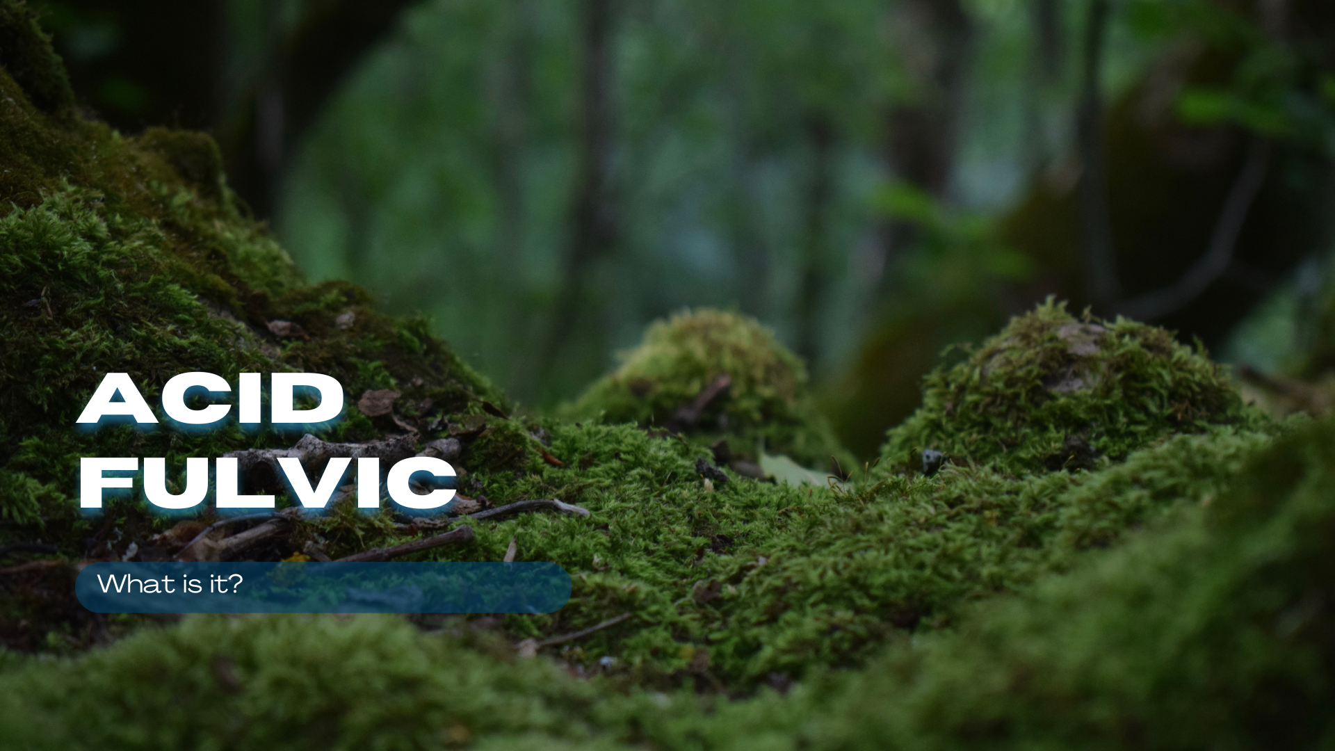 Axit Fulvic là gì? 7 lợi ích tuyệt vời của axit Fulvic