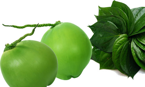 Có cần chắt bớt nước dừa trong trái dừa xiêm khi sử dụng lá trầu không ngâm? 
