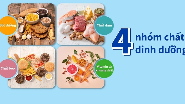 Bạn đã biết 4 nhóm thực phẩm thiết yếu cho cơ thể hay chưa?