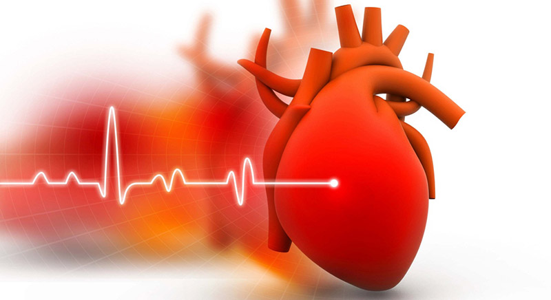 Bạn đã biết ý nghĩa của chỉ số ef trong siêu âm tim chưa?2