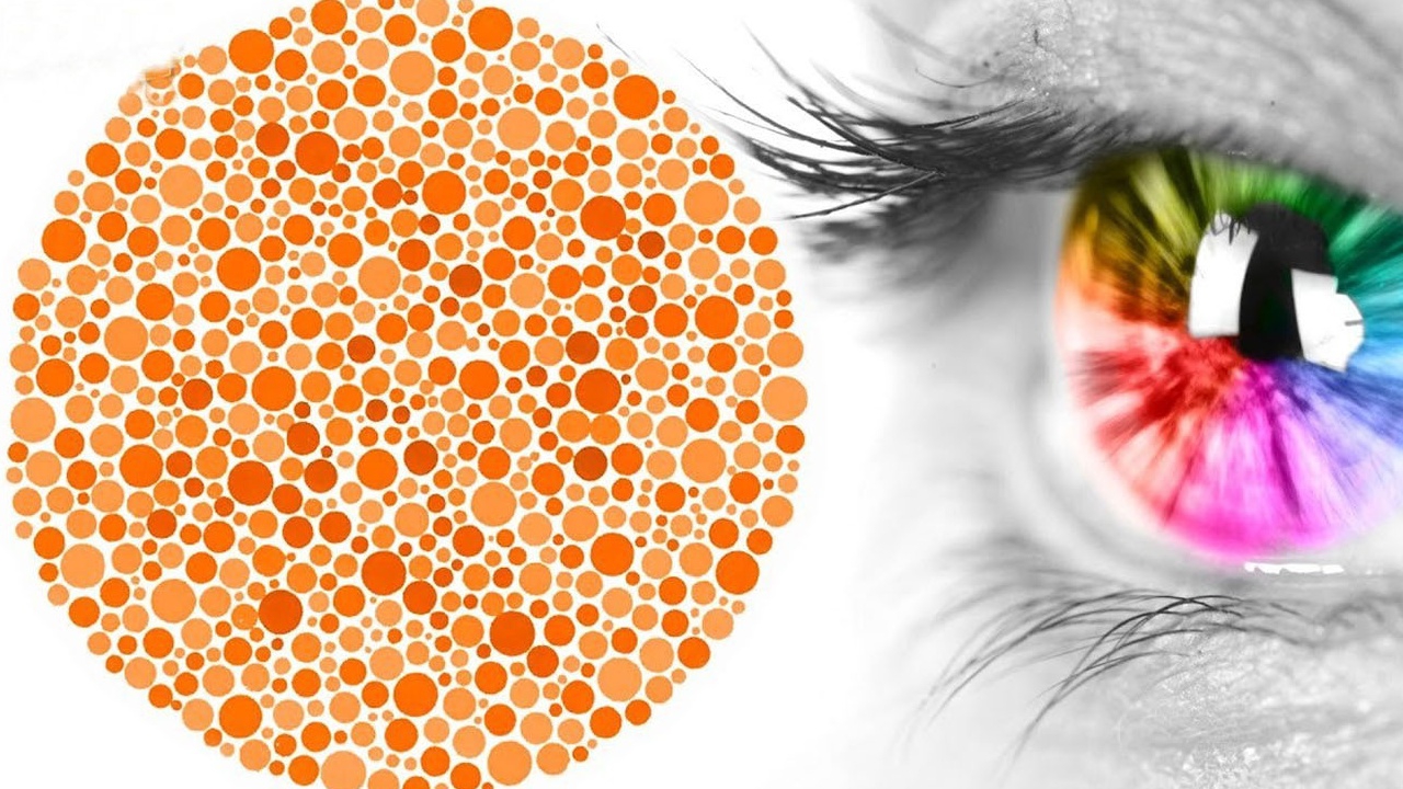 Liệu mù màu có thể ảnh hưởng đến việc học và công việc của người bị mù màu không?
