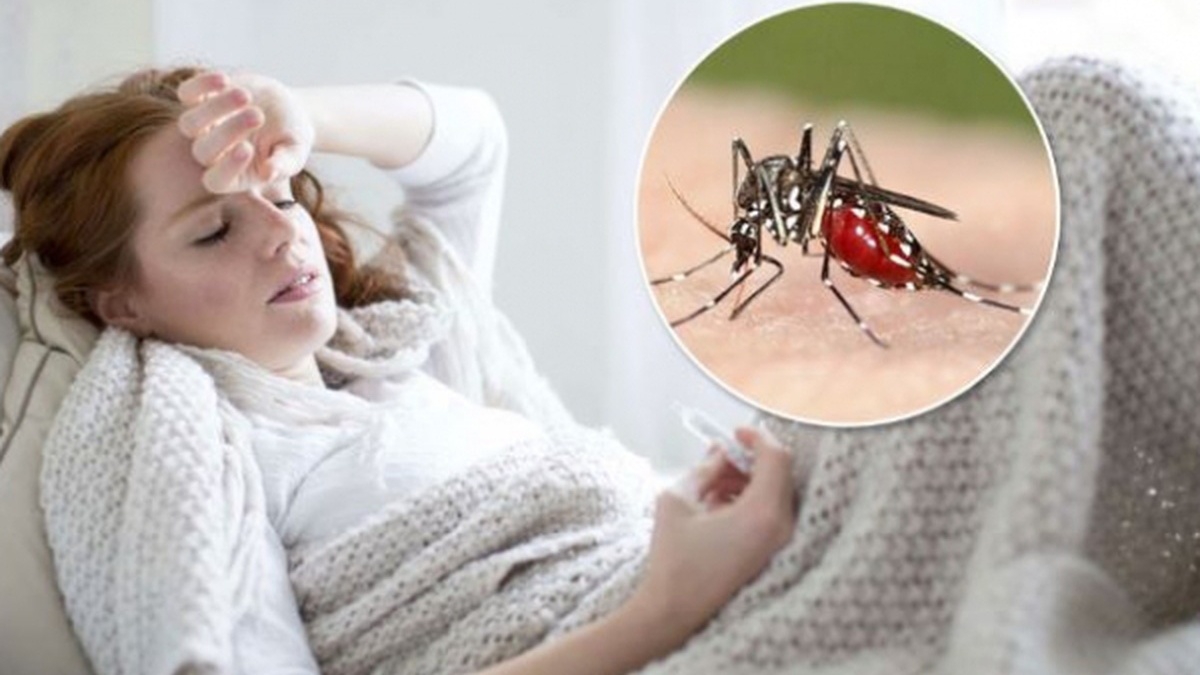 Muỗi nào truyền bệnh sốt rét cho con người?
