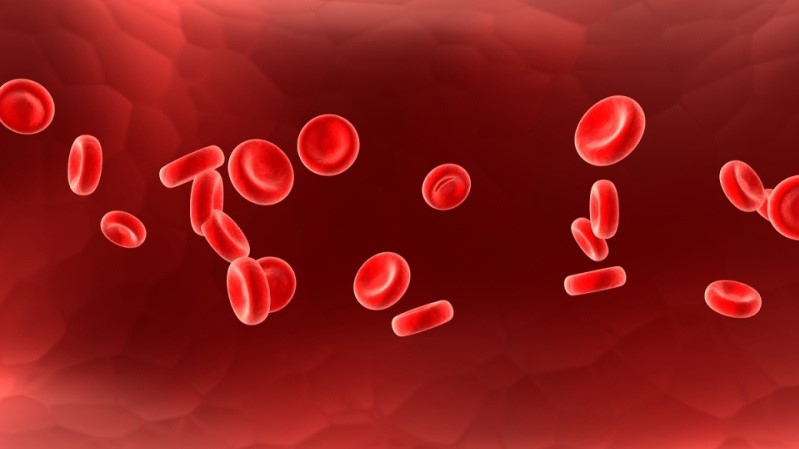 Thiếu máu hồng cầu nhỏ có thể gây ra những vấn đề sức khỏe nghiêm trọng không?

