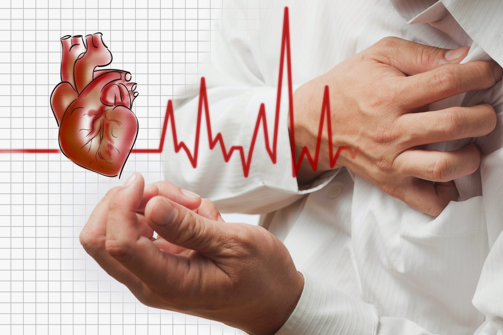 Hạt sen tác dụng tốt đến hệ tim mạch