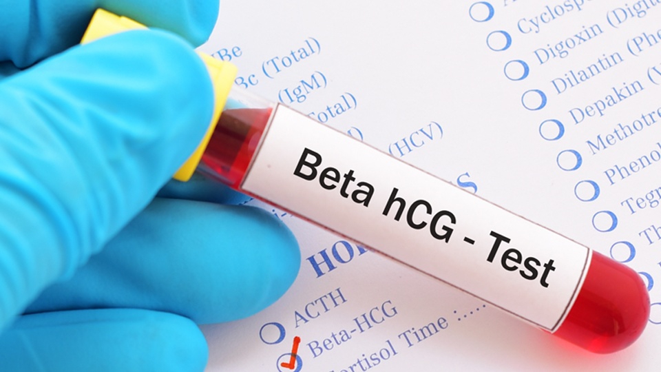 Beta hCG là gì? Sau chuyển phôi ăn gì để beta cao?