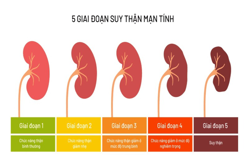 cac-giai-doan-suy-than-dien-ra-nhu-the-nao-1.jpg