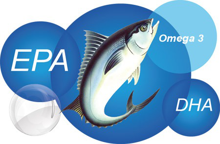Các loại cá chứa nhiều omega 3 tốt cho trí não