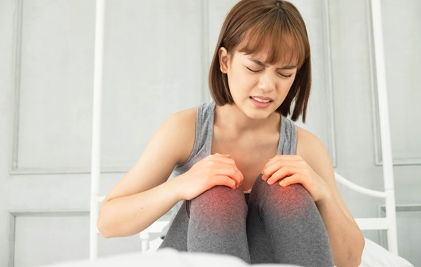 Các loại cây thuốc nam chữa bệnh đau nhức xương khớp phổ biến trong Đông y 2