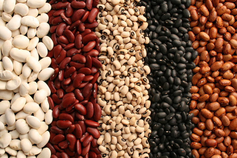 Các loại thực phẩm giàu protein bạn cần biết để bổ sung cho đúng 4