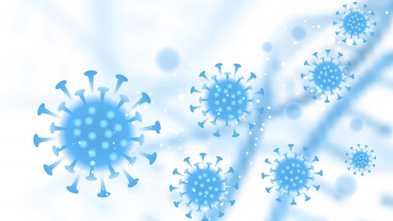 Các loại virus cúm phổ biến và hệ luỵ của chúng 2