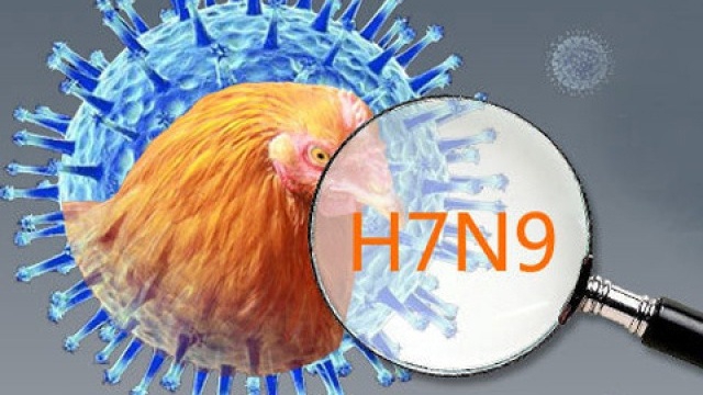 Cách phòng ngừa bệnh cúm A (H7N9)