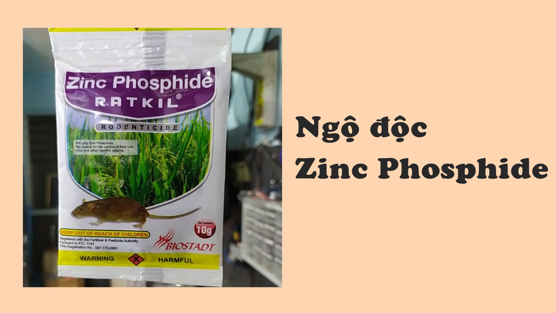 Thuốc diệt chuột zinc phosphide có thành phần chính là gì?
