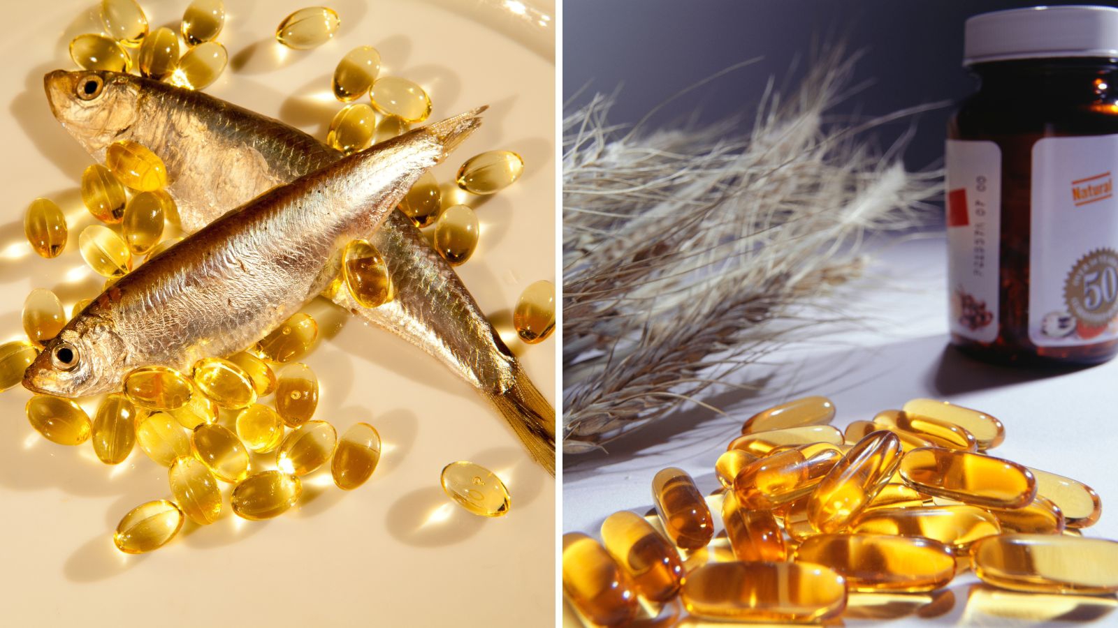 Nguồn gốc tự nhiên của Omega 3 và Vitamin E là gì?

