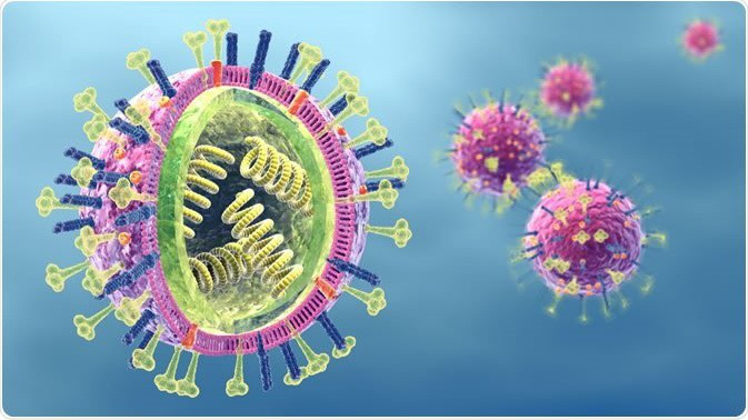 Cấu tạo của virus gây bệnh 3