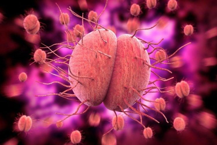 Dấu hiệu bệnh lậu và Chlamydia: Nhận biết, Chẩn đoán và Điều trị hiệu quả