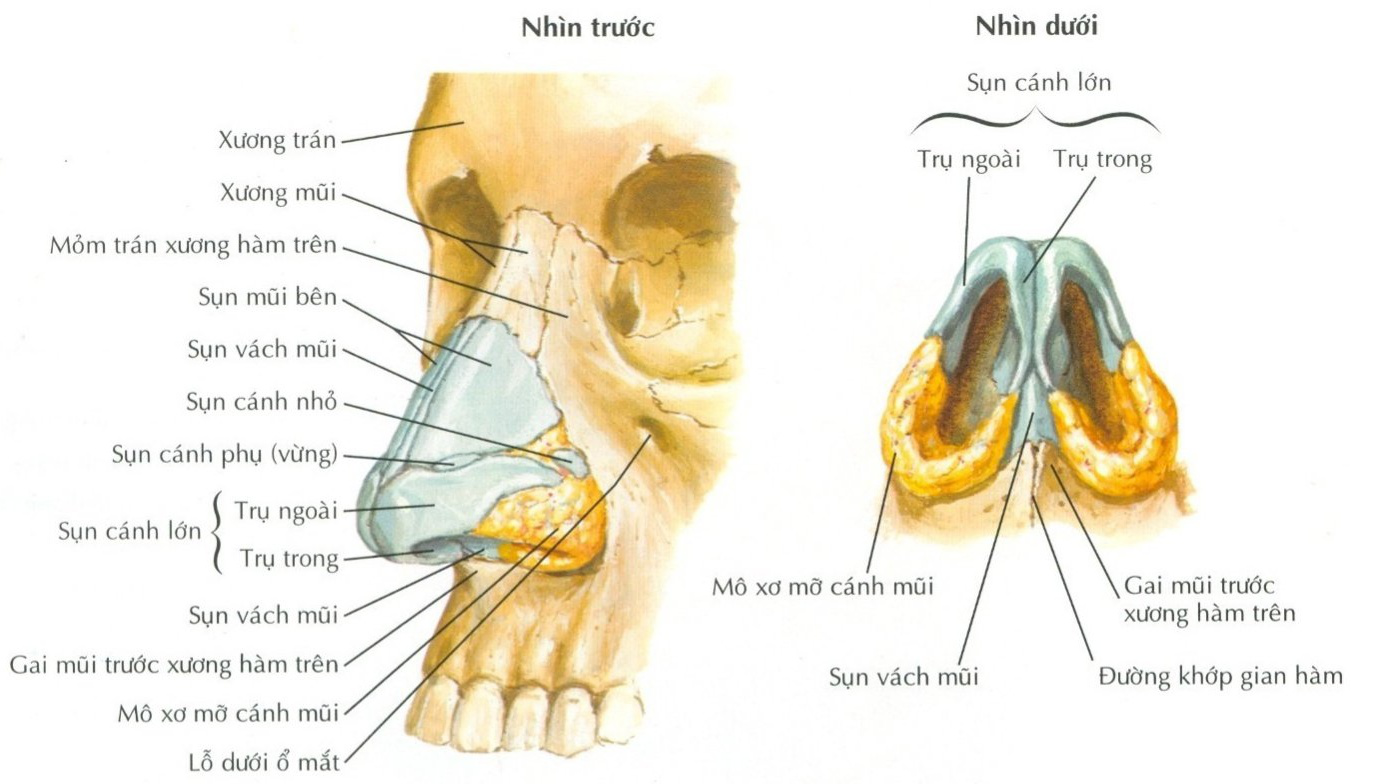 Biến chứng của gãy xương mũi