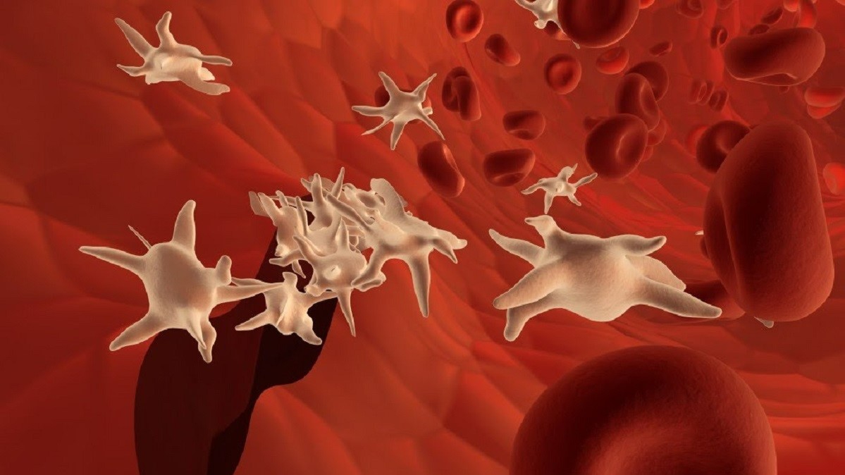 Nguyên nhân gây giảm số lượng tiểu cầu trong máu ở người bình thường là gì?
