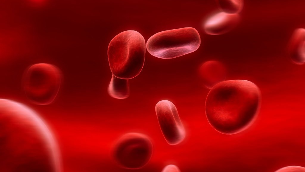 Có những biện pháp nào để duy trì và nâng cao sức khỏe của hồng cầu trong cơ thể con người?
