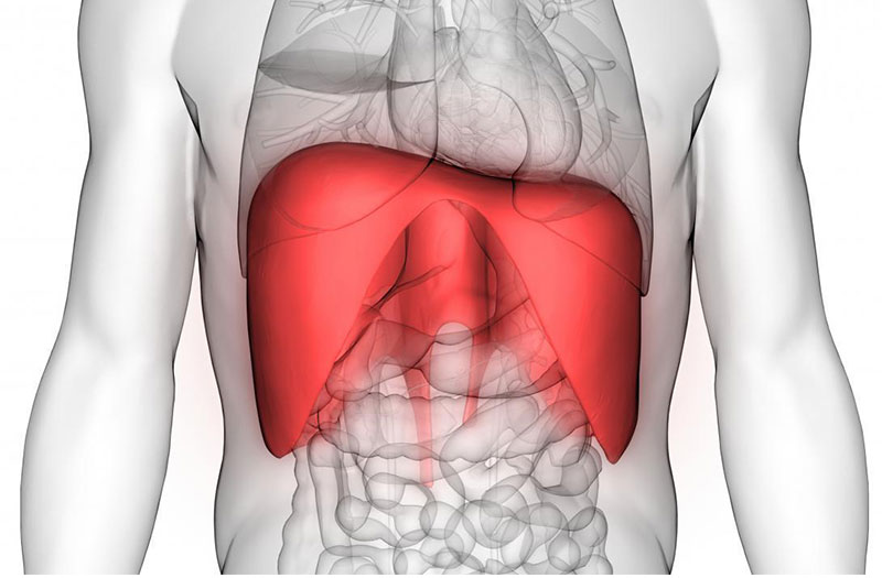 Cơ hoành có tác dụng gì? Tình trạng co thắt ở cơ hoành  1