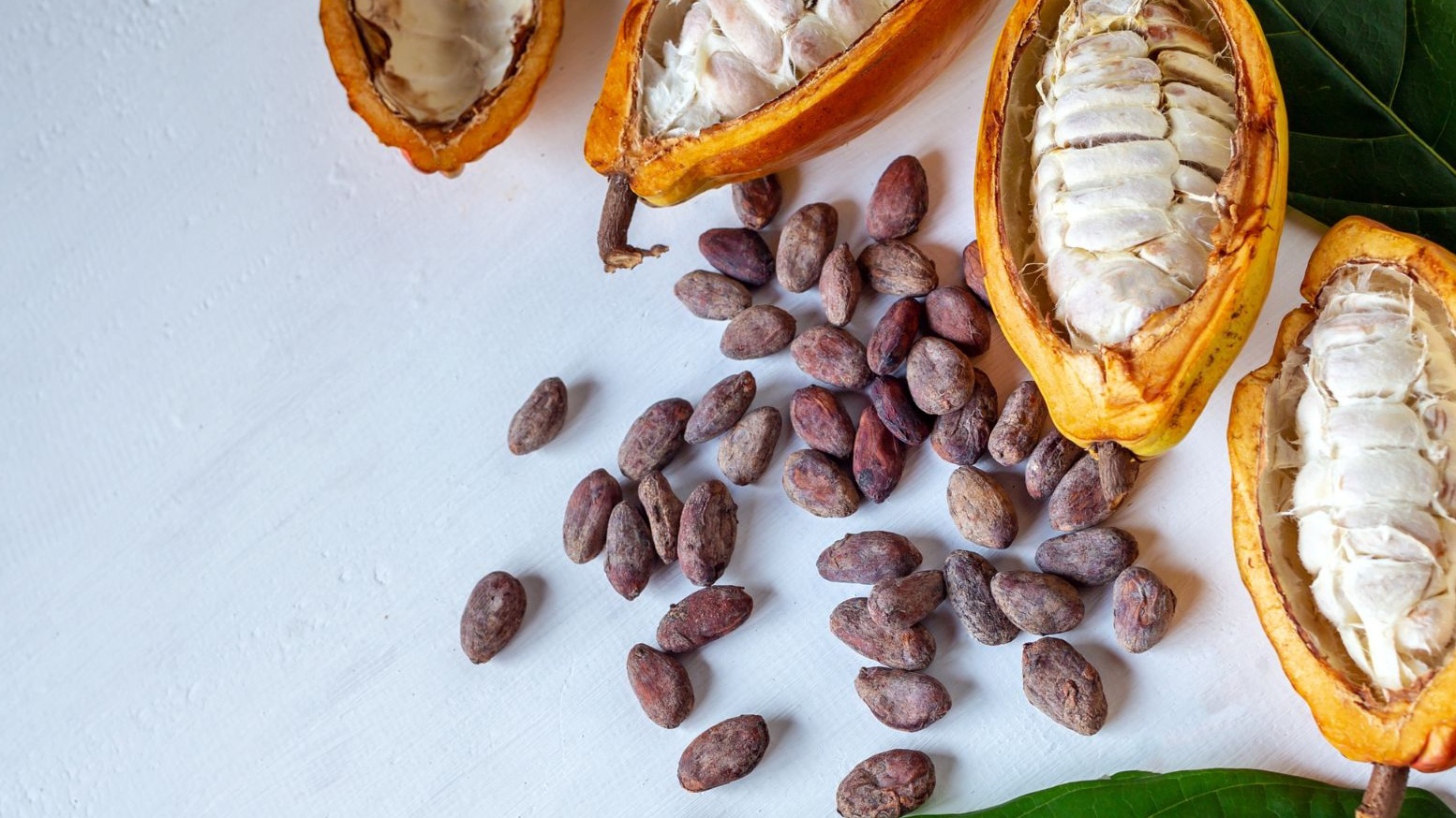 Khám phá hết những công dụng của cacao trong làm đẹp