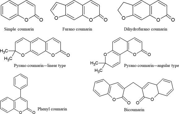 Coumarin: Hoạt chất chống lại các bệnh lý do huyết khối gây nên 1.jpg
