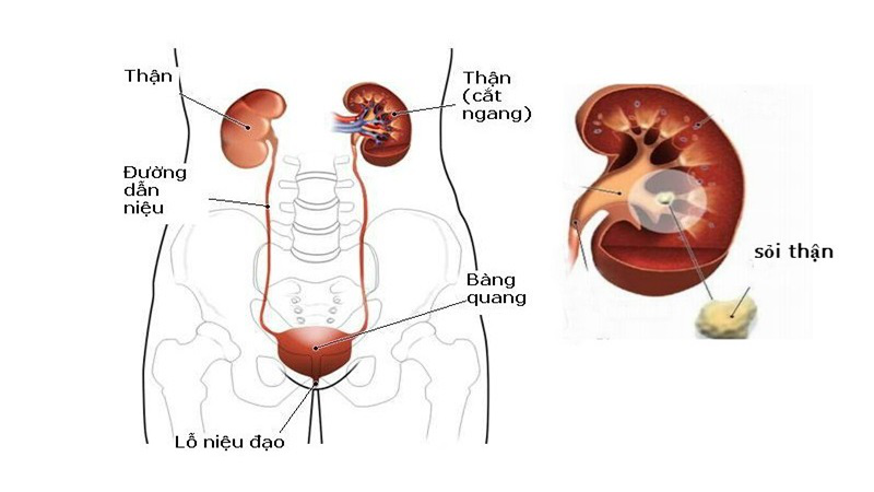 Đau bụng bên trái: Những nguyên nhân thường gặp và cách xử lý 5