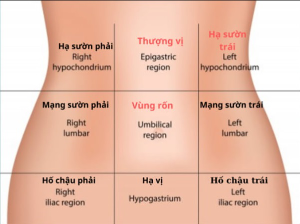 Đau bụng trên rốn là đau bụng gì? Cần làm gì khi bị đau bụng trên rốn 1