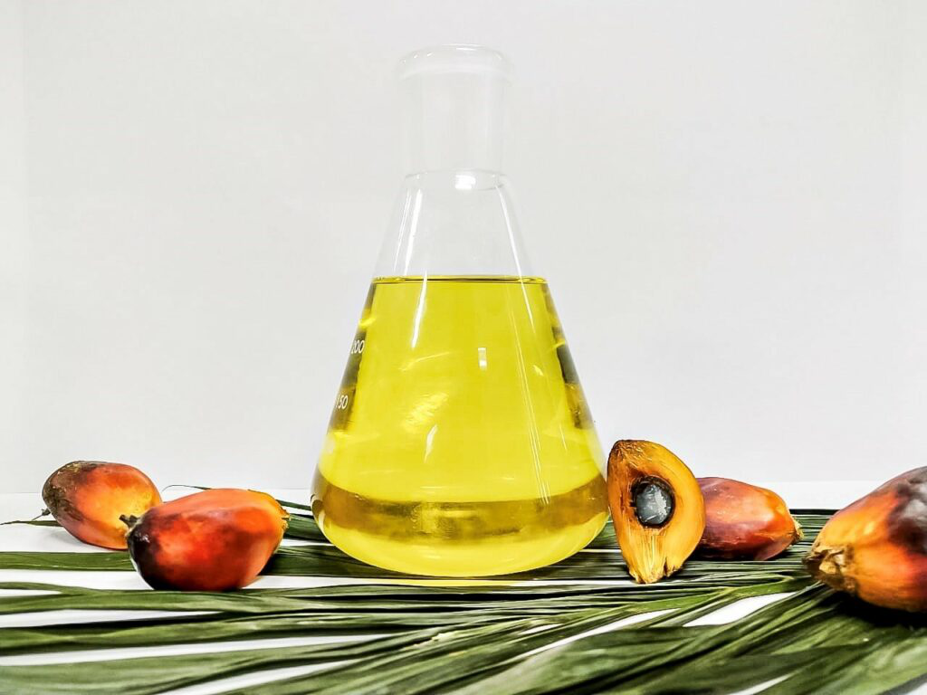Palm oil là gì? Công dụng của palm oil đối với sức khỏe.5