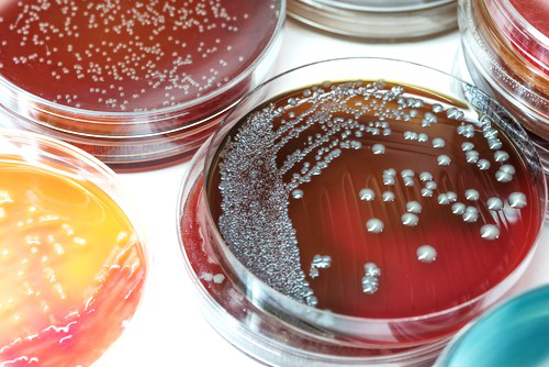 dau-hieu-cum-rubella-ba-bau-la-gi-nhung-bien-chung-co-the-xay-ra 4.jpg