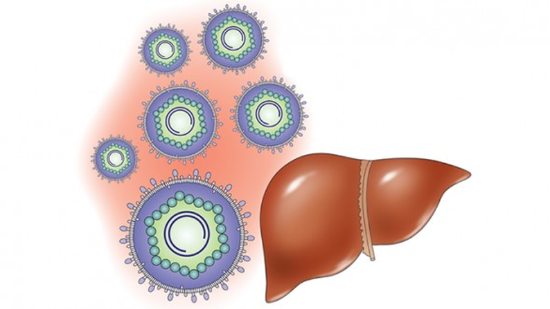 dinh-luong-hbv-dna-am-tinh-co-y-nghia-nhu-the-nao 1