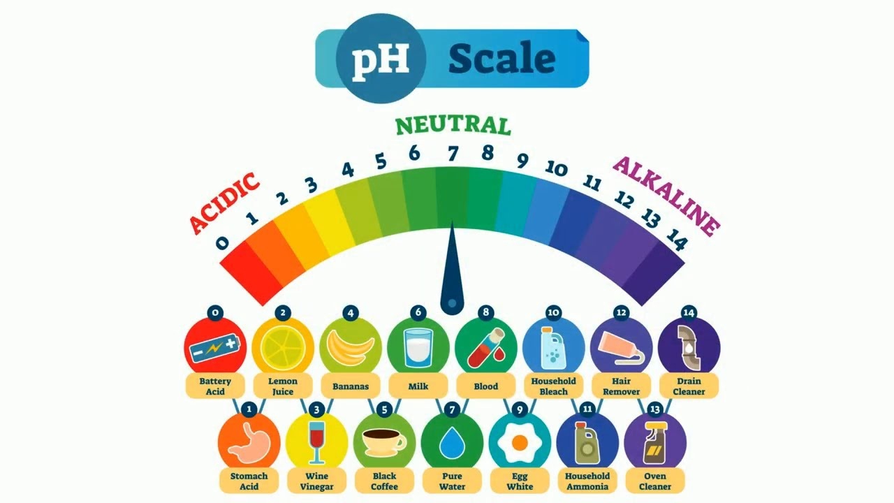 Đo pH có vai trò gì trong phân tích và kiểm soát chất lượng sản phẩm?