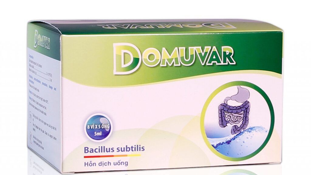 Domuvar uống trước hay sau ăn? Thời điểm dùng Domuvar hợp lý