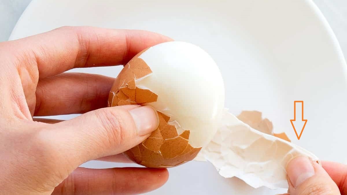 Eggshell Membrane là gì? Đặc điểm và công dụng