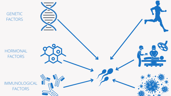 Nhiều yếu tố ảnh hưởng đến quá trình sinh tinh 2