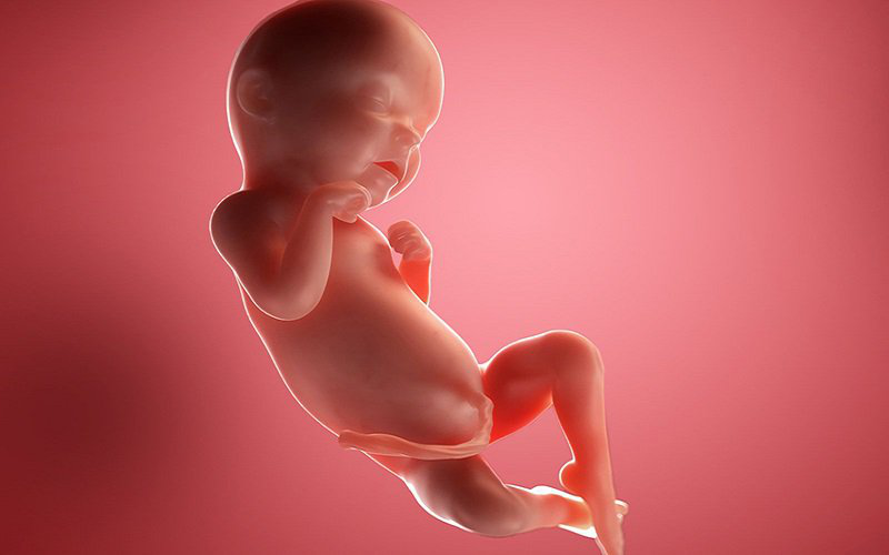 Giải đáp: Mẹ bầu có thai mấy tuần thì đi siêu âm được? 3