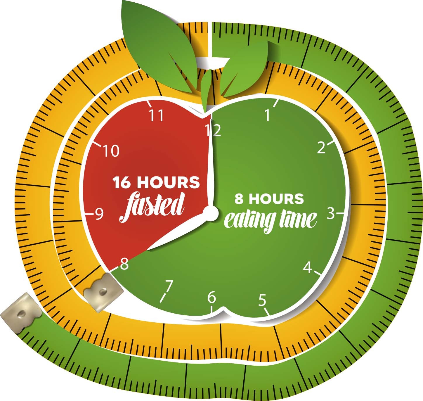 Nguy n L Ho t ng C a Ph ng Ph p Gi m C n Intermittent Fasting Nh 