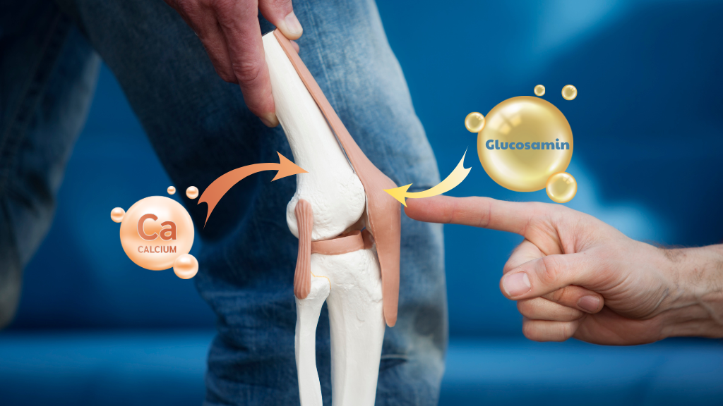 Glucosamine và Canxi khác nhau như thế nào?