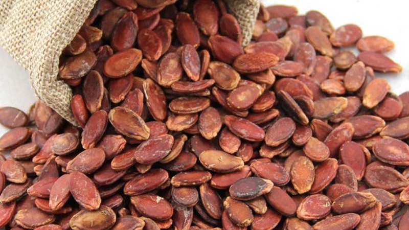 Hạt dưa làm từ quả gì? 5 lợi ích sức khỏe từ hạt dưa